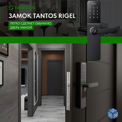 ЗАМОК TANTOS RIGEL