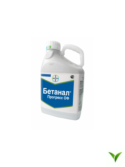 Бетанал Эксперт ОФ КЭ 5 л