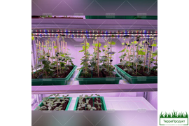 Изготовление и монтаж металлоконструкций "под ключ" Закажи уже сейчас!