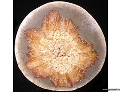 Глендонит - (Беломорская рогулька)