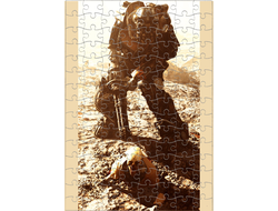 Пазл Fallout, Фоллаут №19