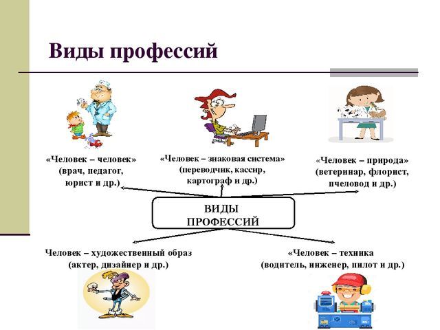 Виды профессий и примеры