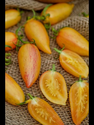 Томат Sweet Cream (Сладкий Крем), 10 шт