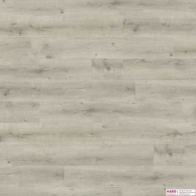 Ламинат Haro Daily Edition Дуб Бреда Светло-серый 541344 32 класс толщина 8 мм с фаской 1.98 м2