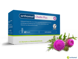 Orthomol Cholin Plus / Ортомол Холин плюс 30 дней (капсулы) 04/2026