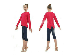 Толстовка GF 36