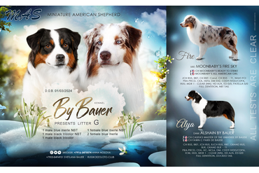 Презентация помета