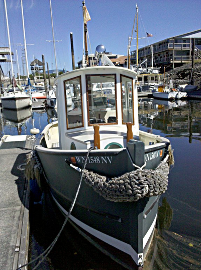 каютный катер Godzilla 22