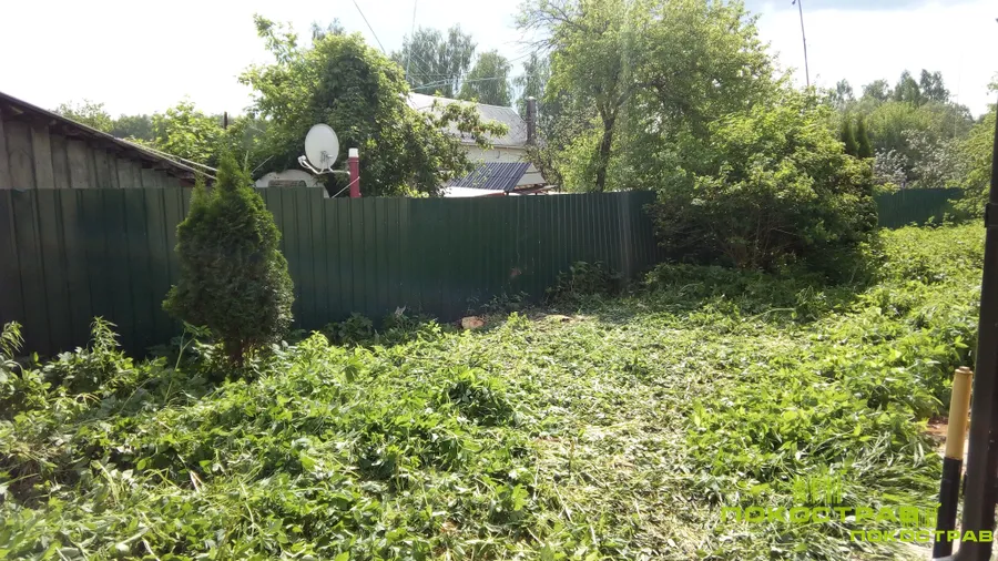 Удаление деревьев