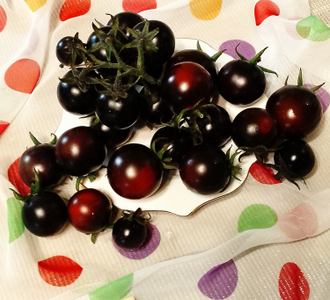 Семена томата Хельсинг Джаншн Блюз