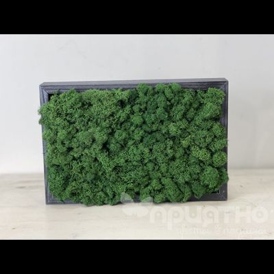 ЖИВАЯ ЭКО-КАРТИНА 1055