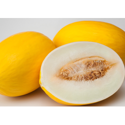 Дыня Наутило F1, 5 шт