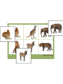 Лото "Дикие животные" (4 планшета, 24 карт., цвет., ламинир.)