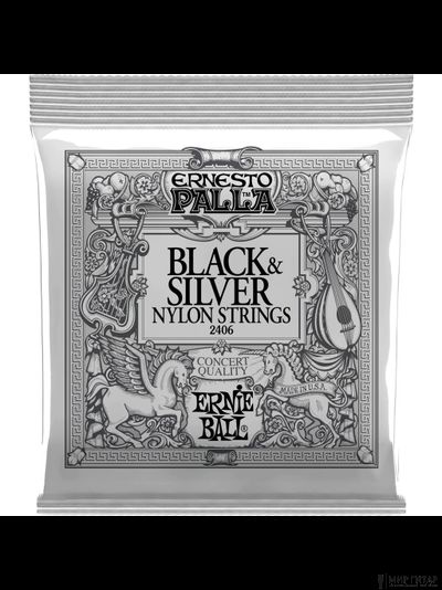 Ernie Ball 2406