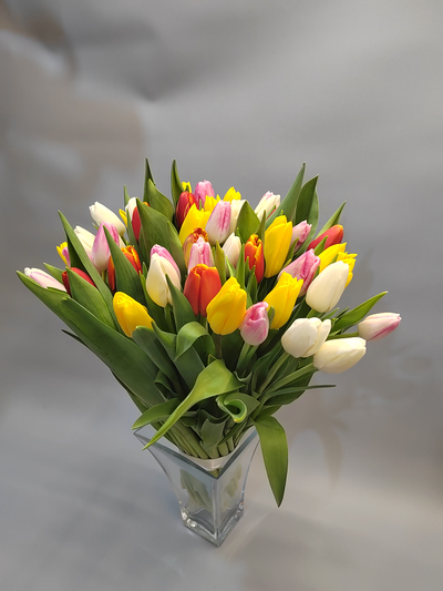 Букет из желтых/красных/белых/розовых/МИКС крупных тюльпанов 51 шт.
