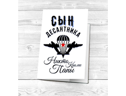 Обложка на паспорт #11 ВДВ