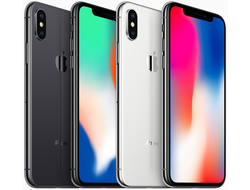 Apple iPhone X