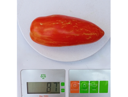 Томат Джалпа