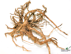 Коряга ПУСТЫННАЯ XXL (30-45 см)