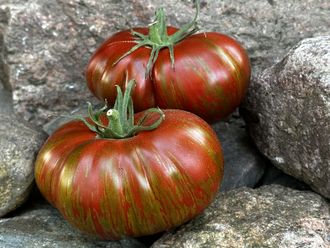 Джек в коробке (Jack in the Box Dean&#039;s), США