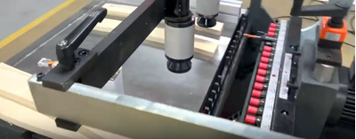 Станок сверлильно-присадочный WoodTec TOP POINT D 21