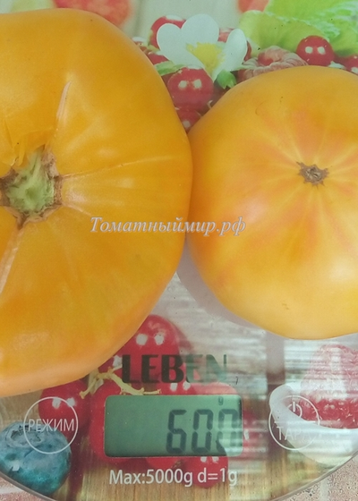 Томат Крем-Торт