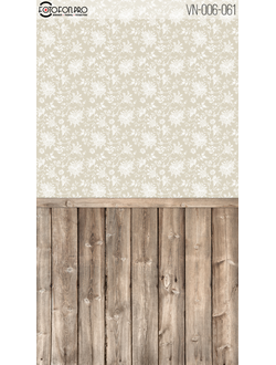 Фотофон «Регул»