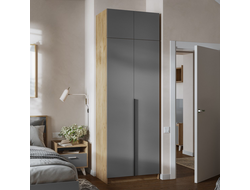 Шкаф двухстворчатый ЛИОН ШК-01 + Антресоль АН-01 Дуб Крафт золотой/Графит