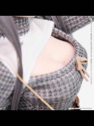 Кукла 1/3 Iris Collect Fuuko My way of life. (SILVER ver.)