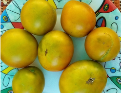 Томат Лайм Грин салат, (Lime Green Salad) США