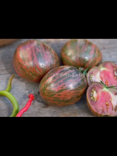 Томат Rebel Starfighter Blaine&#039;s Moonlight (Восставший Звездный Истребитель Лунный Свет Блэйна) , 10 шт