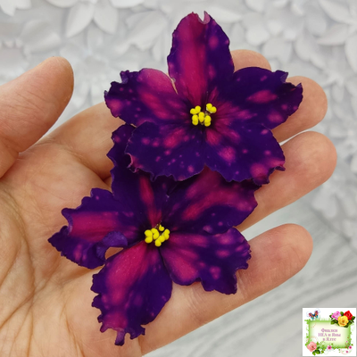 РС-Метагалактика (С. Репкина) 2018 г.