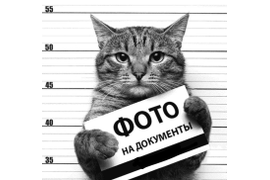Срочное фото на документы