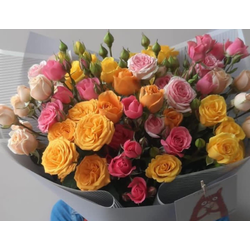 №31 Летний бриз