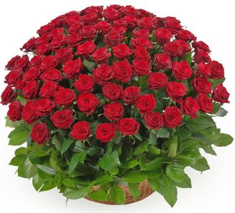 Яркая композиция из 101 красной розы и зелени