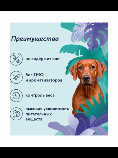 Florida (Флорида) влажный корм (консерва) для собак с кроликом и брусникой, 400 г