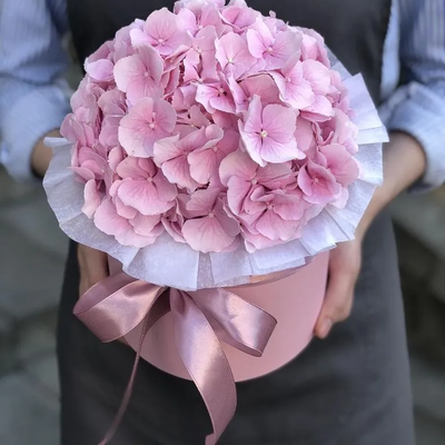 Гортензия в шляпной коробке