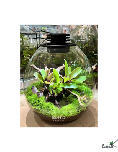 Биобутылка Biolark LED PD 170 (175мм х 195мм)