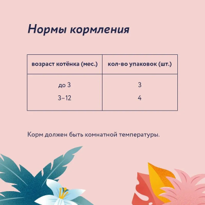 Florida (Флорида) влажный корм (пауч) для котят, кусочки с говядиной и морковью в желе 85 г