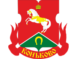 РЕКЛАМА У ПОДЪЕЗДОВ РАЙОН КОНЬКОВО