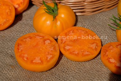 Томат Regalo Dall Italian (Подарок из Италии), 10 шт