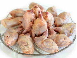 Перепела фермерские купить