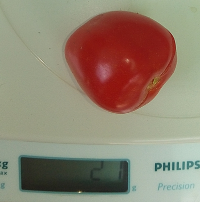 Томат Черри Клубничка