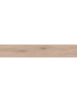 SI01
