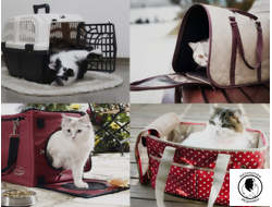 ПЕРЕНОСКИ || СУМКИ ПЕРЕНОСКИ || АВТОГАМАКИ || РЮКЗАКИ || СЛИНГИ