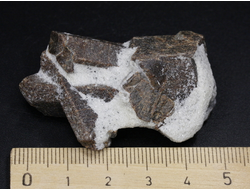 Ставролит, сросток кристаллов "косой крест" на сланце, Россия, Кольский п-ов (51*30*21 мм, 38 г) №26079