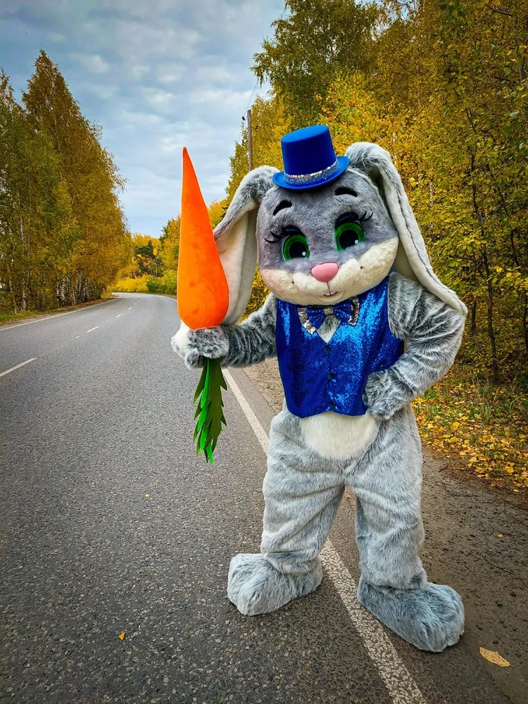 Ростовая кукла- зайка с морковкой. Ростовая кукла для детских праздников.