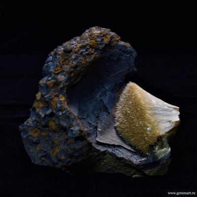 Барит на псиломелане в полости ракушки. 59*59*42мм