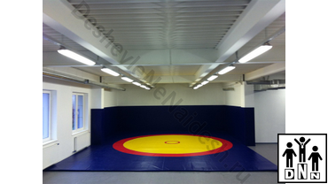 борцовский ковер