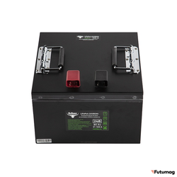 Тяговый аккумулятор Rutrike LiFePO4 24V80Ah (100A)